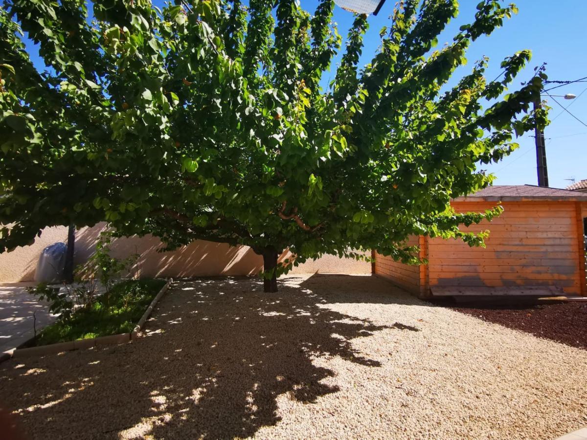 Gites Avec Grande Piscine Et Sa Terrasse Privative Bernis ภายนอก รูปภาพ